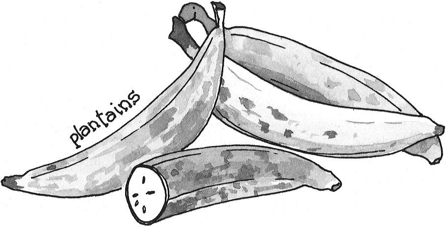 Figure 9-4: Plantains are members of the banana family.